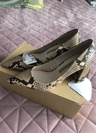 Туфлі, взуття zara