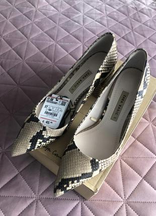 Туфлі, взуття zara
