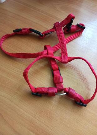 Шлея для собак xs-s