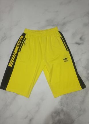 Спортивные шорты adidas
