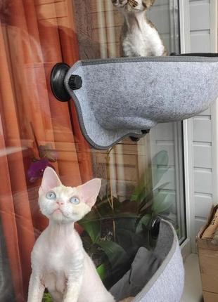Гамак лежанка для кота на окно с присосками, темно-серая4 фото