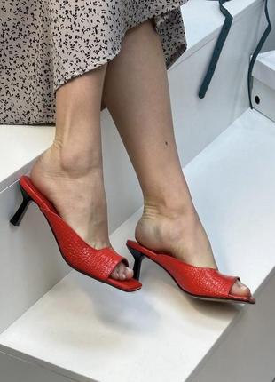 Золотые красивые самбо натуральная кожа питон металлик 36-416 фото