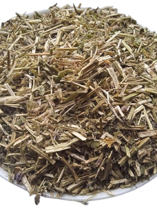 Лофант анісовий трава сушена agastache foeniculum 5 кг
