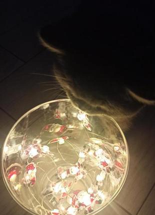 Новорічна світлодіодна гірлянда 2м 20led на батарейках, гірлянда на батарейках санта...