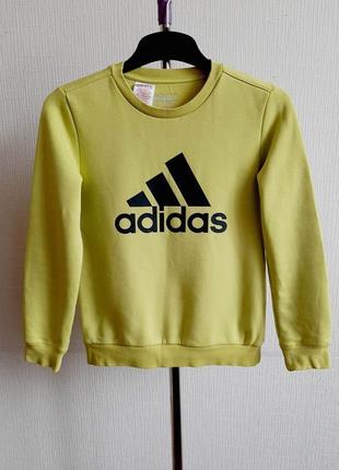 Яркий свитшот adidas