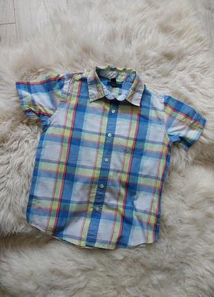 🩵💚💛 гарна сорочка шведка gap