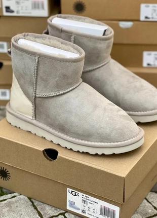 Ugg light grey metallic suede 36