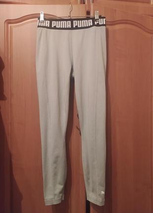 Лосины puma