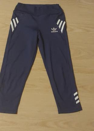 Бриджі adidas
