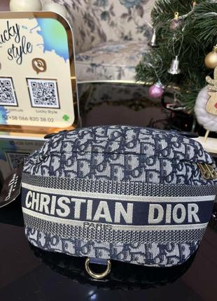 Поясная сумка dior синяя