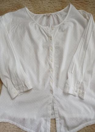 Продам гарну блузу з бавовни, супер якості, р. 50-52.2 фото