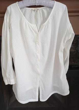 Продам гарну блузу з бавовни, супер якості, р. 50-52.1 фото