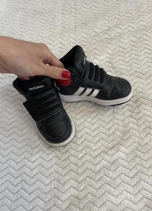 Кросівки adidas
