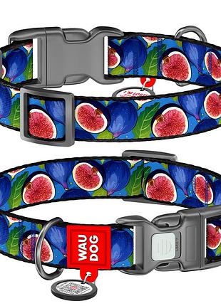Ошейник для собак нейлоновый waudog nylon c qr паспортом, рисунок "инжир", пластиковый фастекс, м, ш 20 мм, дл