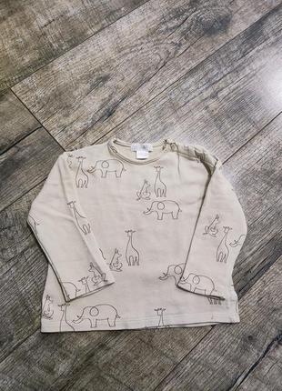 Світшот, светр, кофта двунітка петельки, zara, р. 9-12міс., 74-80