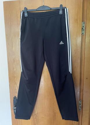 Мужские спортивные штаны adidas