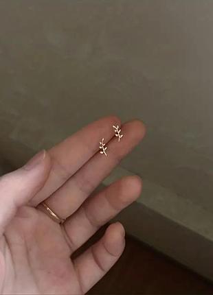 Сережки