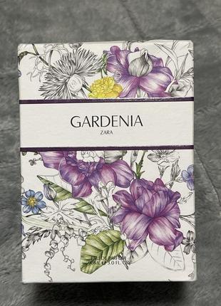 Gardenia zara