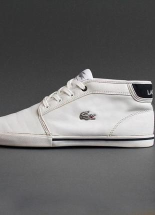 Кроссовки кожаные lacoste размер 41-42