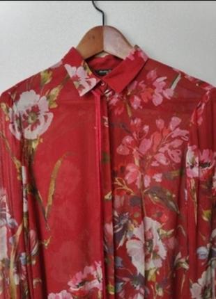 🌿 сорочка блузка massimo dutti