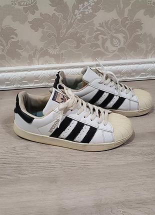 Кросівки adidas