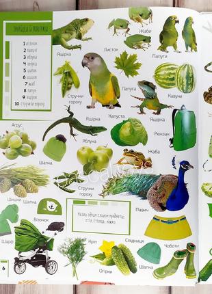 Дитяча книжка віммельбух "500 перших слів"4 фото
