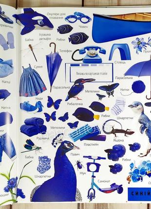 Дитяча книжка віммельбух "500 перших слів"6 фото