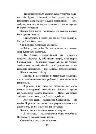 Книга коти-вояки нове пророцтво сутінки книга 53 фото