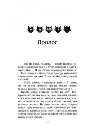 Книга коти-вояки нове пророцтво сутінки книга 52 фото