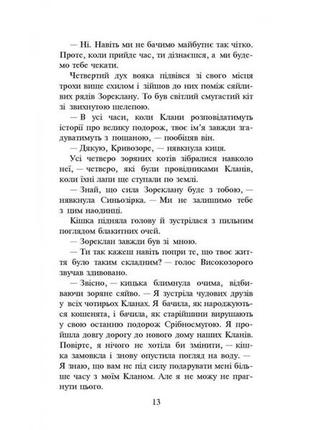 Книга коти-вояки нове пророцтво сутінки книга 54 фото