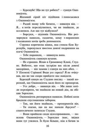 Книга коти-вояки нове пророцтво захід книга 63 фото