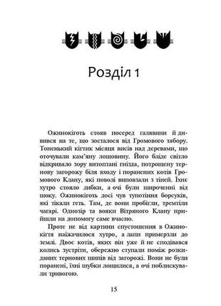 Книга коти-вояки нове пророцтво захід книга 62 фото
