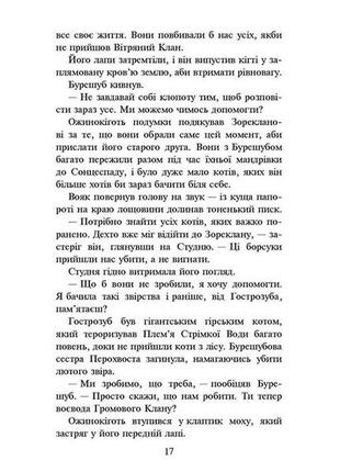 Книга коти-вояки нове пророцтво захід книга 64 фото