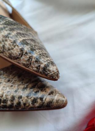 Босоніжки kitten heel туфлі човники лодочки кітен хілл зміїний принт5 фото