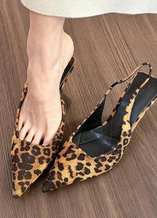 Мюлі леопард гострий мис під замш 39  р3 фото