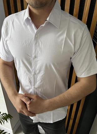 Рубашка  мужская varetti s-xxl с коротким рукавом , s, белый