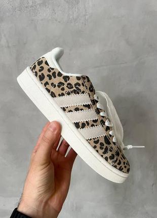 Жіночі кросівки леопардові adidas campus leopard