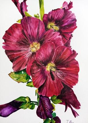 Картина акварель 28х40 см мальва