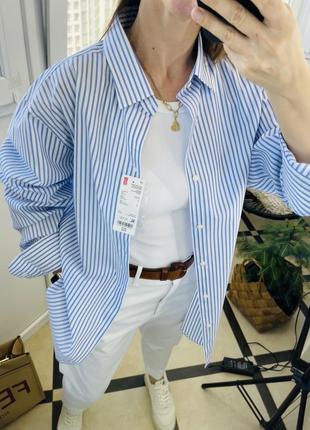 Uniqlo сорочка рубашка в блакитну смужку з чоловічого відділу