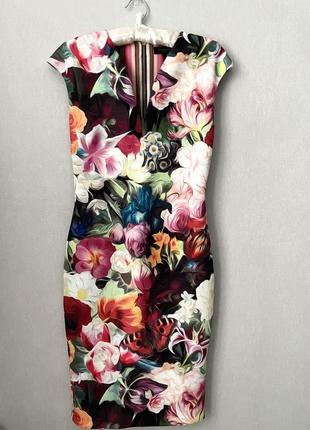 Сукня ted baker