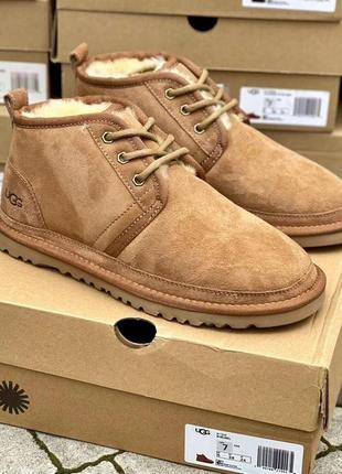 Ugg neumel chestnut 36