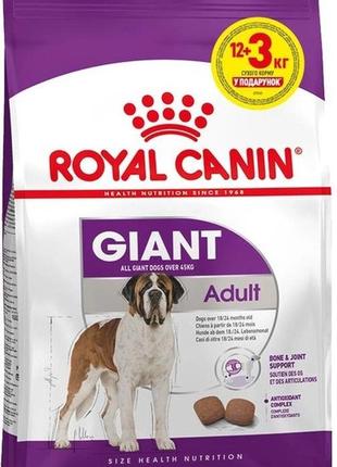 Акція royal canin shn giant adult сухий корм для собак 12 кг + 3 кг