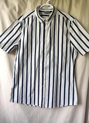 Рубашка с коротким рукавом, удлиненная рубашка