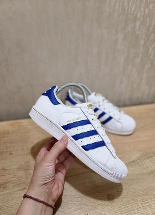 Жіночі кеди “ adidas superstar “