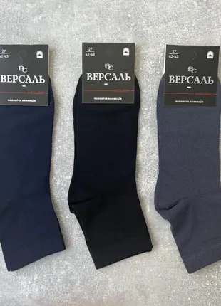 Чоловічі носки версаль середні exclusive р.42-43 темне асорті