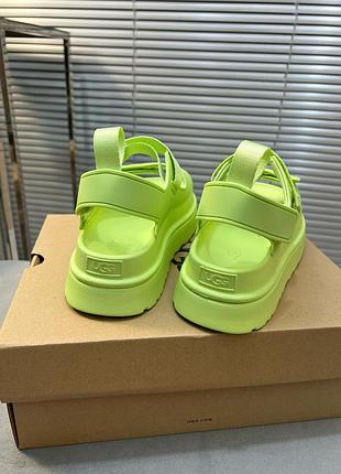 Босоножки, босоножки campaign ugg7 фото