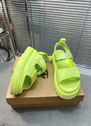 Босоножки, босоножки campaign ugg5 фото