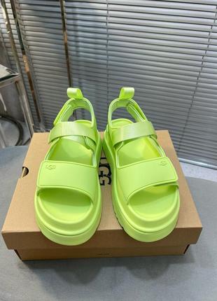 Босоножки, босоножки campaign ugg2 фото