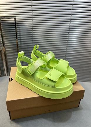 Босоножки, босоножки campaign ugg3 фото