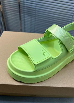 Босоножки, босоножки campaign ugg8 фото